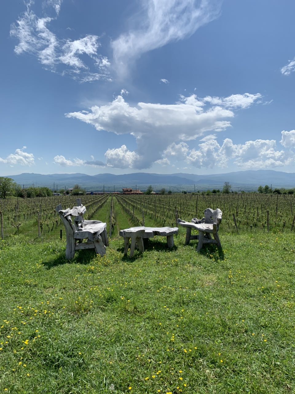 Kakheti + Wine degustation + Georgian bread baking - puri master class